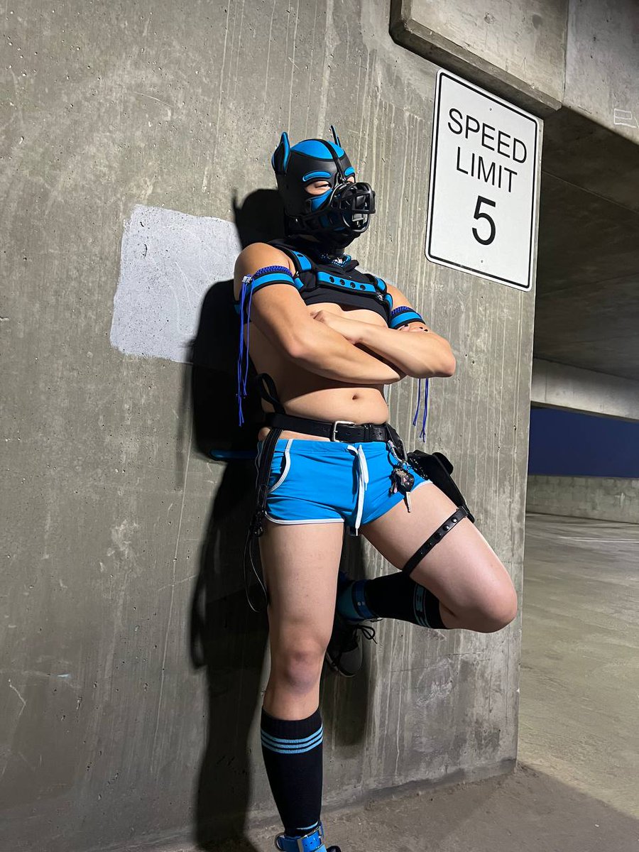 cobaltthepup's tweet photo. Sup nerd. Wanna be a bad boy with me? 😈 https://t.co/ILHpUtdjHE