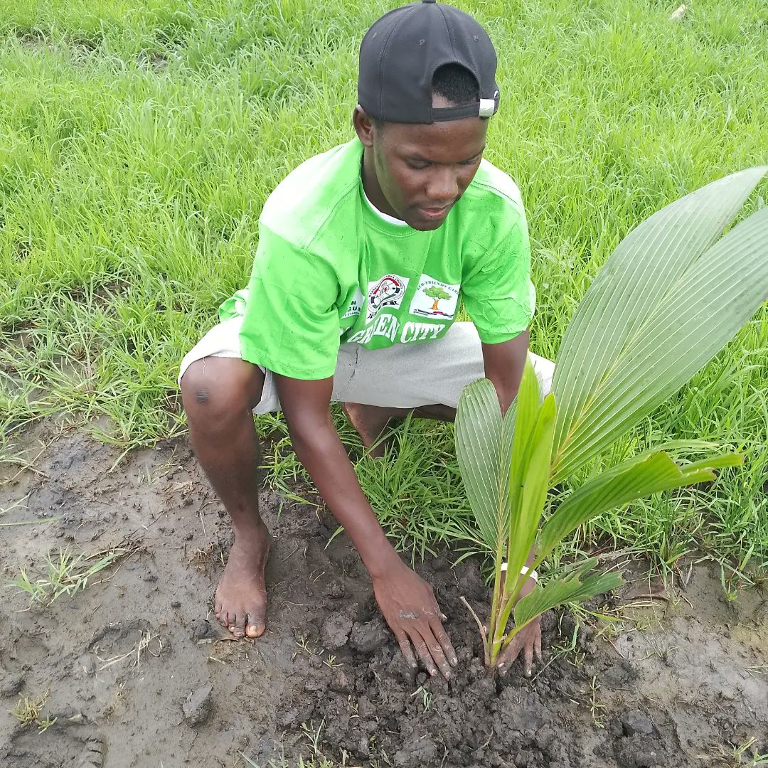 Surang Jallow tweet media