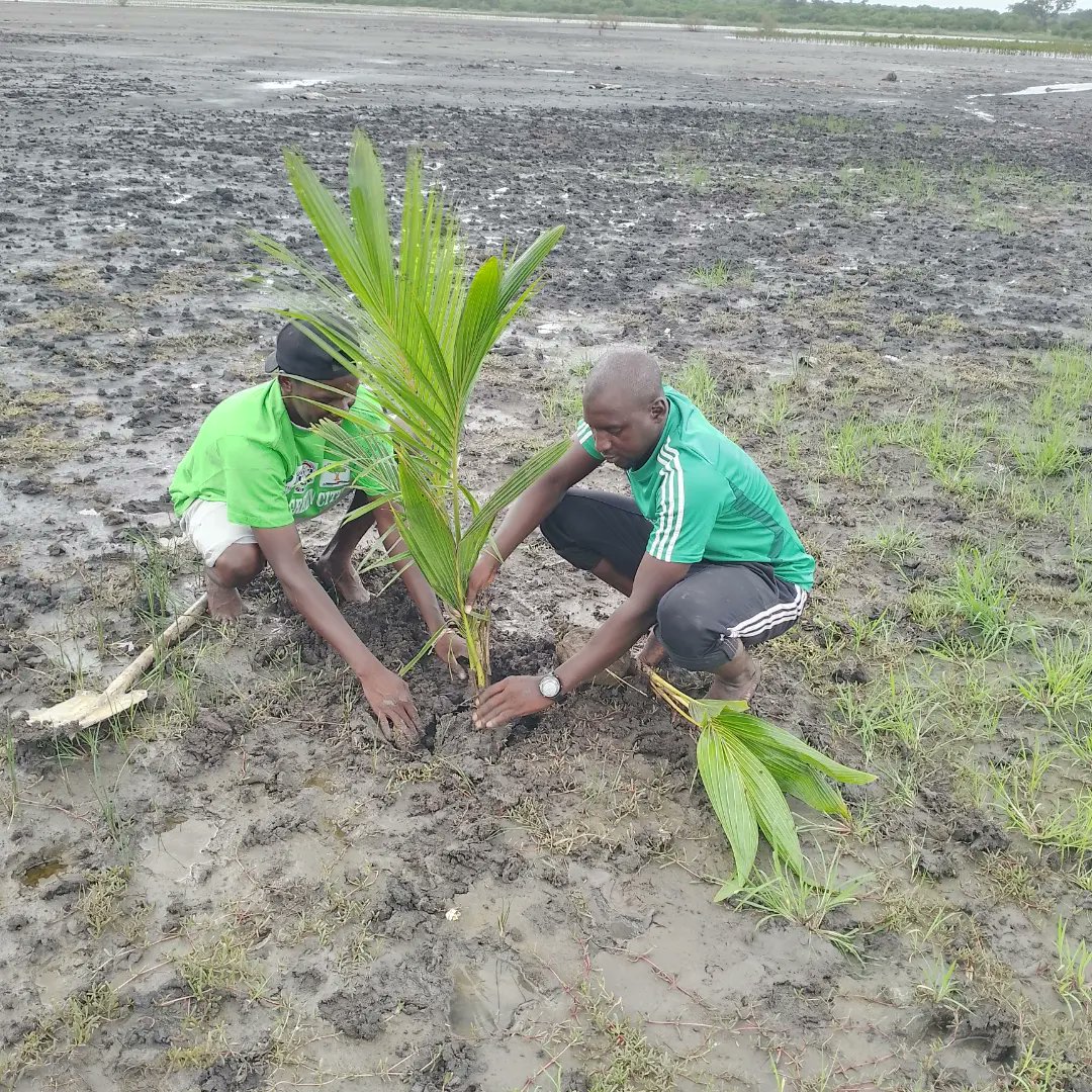 Surang Jallow tweet media