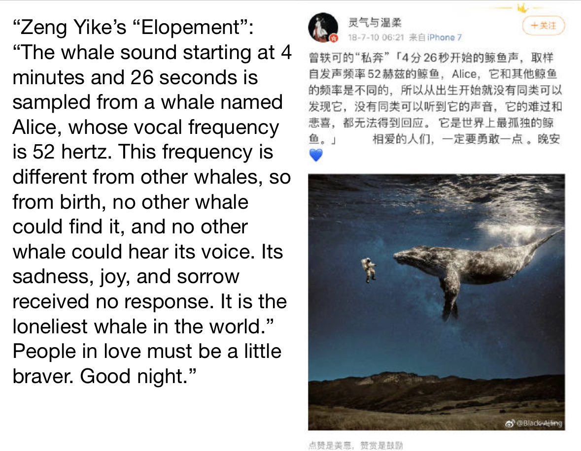 Toastmybuns1's tweet photo. #YangZi’s cover of Zeng Yike’s “Elope” includes Alice’s sound at 52 Hz at 4 minutes and 26 seconds. 😭When #LostYouForever wrapped in 2022, YZ posted a photo of an island, similar to the one Xiaoyao wanted to visit with Xiangliu. #TanJianci’s “INU” is Nauru, a secluded island😭😭 https://t.co/NyRCwpfaPX