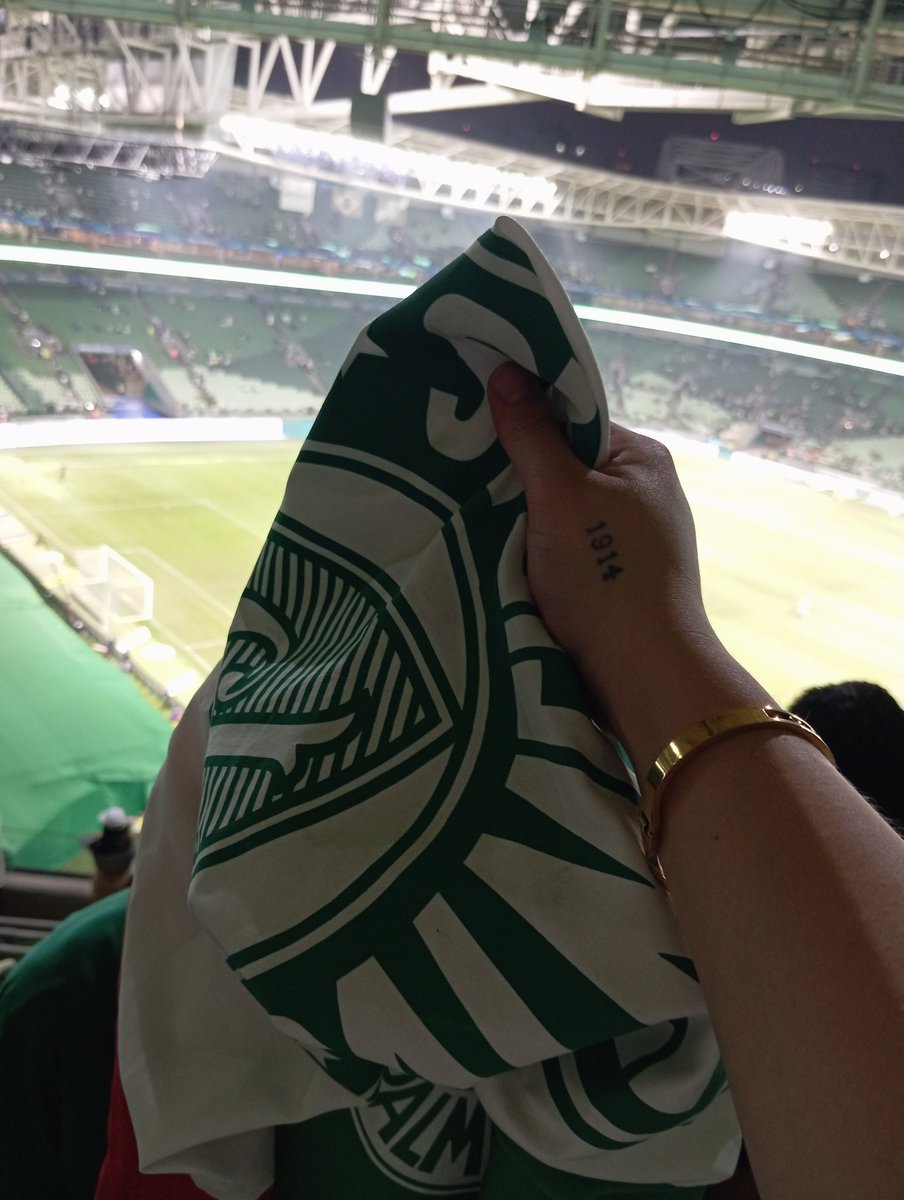 marquescrl_'s tweet photo. Em casa, mais uma vez.

Te amo @Palmeiras 🐷💚 https://t.co/KUv2tGqAc2
