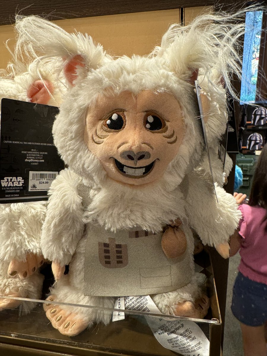 Alan Rappa tweet media