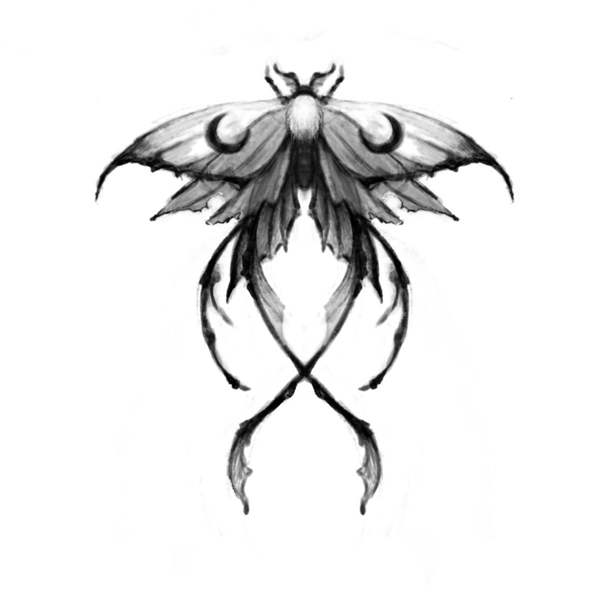 RufusInkStudios's tweet photo. Luna moth variant 🖤🌙 I couldn’t resist https://t.co/UfQfRYej0s
