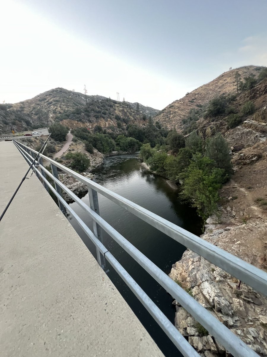 Bofito (@bofo_3) on Twitter photo 