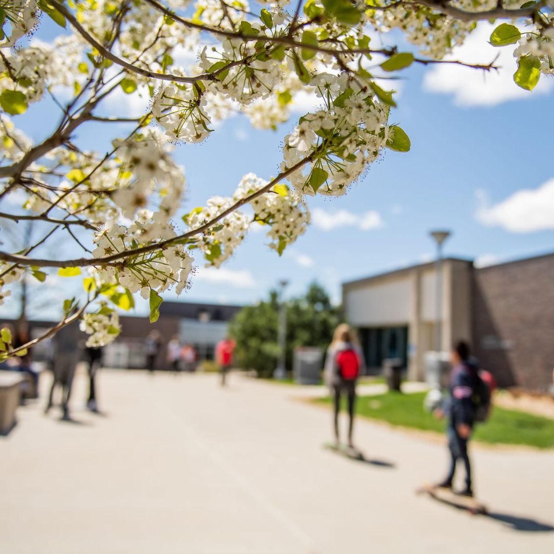 Northeast_SAC's tweet photo. Sleep well, Hawks! A new school year starts tomorrow and we can’t wait to see all the great things you accomplish, friends you’ll meet and memories you’ll make.

Tag us or DM us your campus photos + BeReals for a chance to be featured. #Hawks https://t.co/yfWL6hKIs0