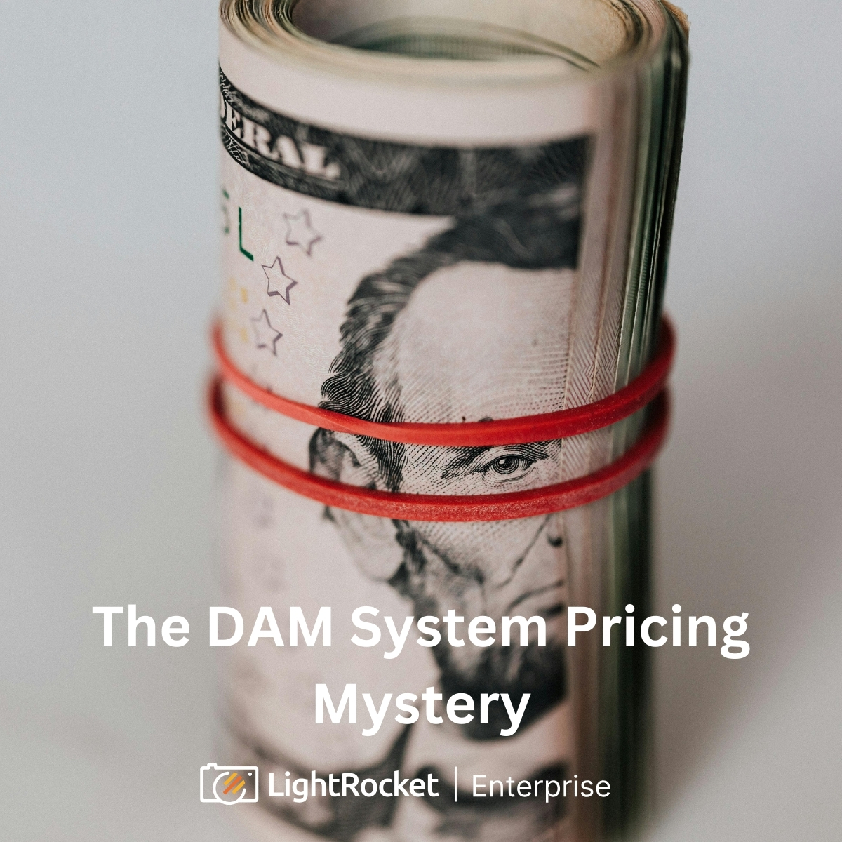 LightRocket Enterprise tweet media