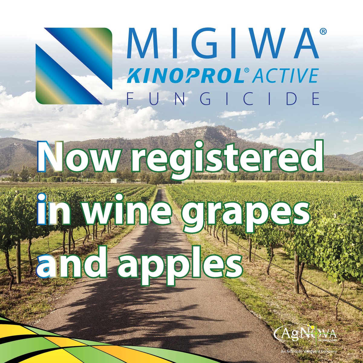 agnovatech's tweet photo. MIGIWA: NOW REGISTERED IN WINE GRAPES AND APPLES

Find out more and read our latest AgNotes: https://t.co/NxXJwjZmr6 https://t.co/71RYAVR3hB