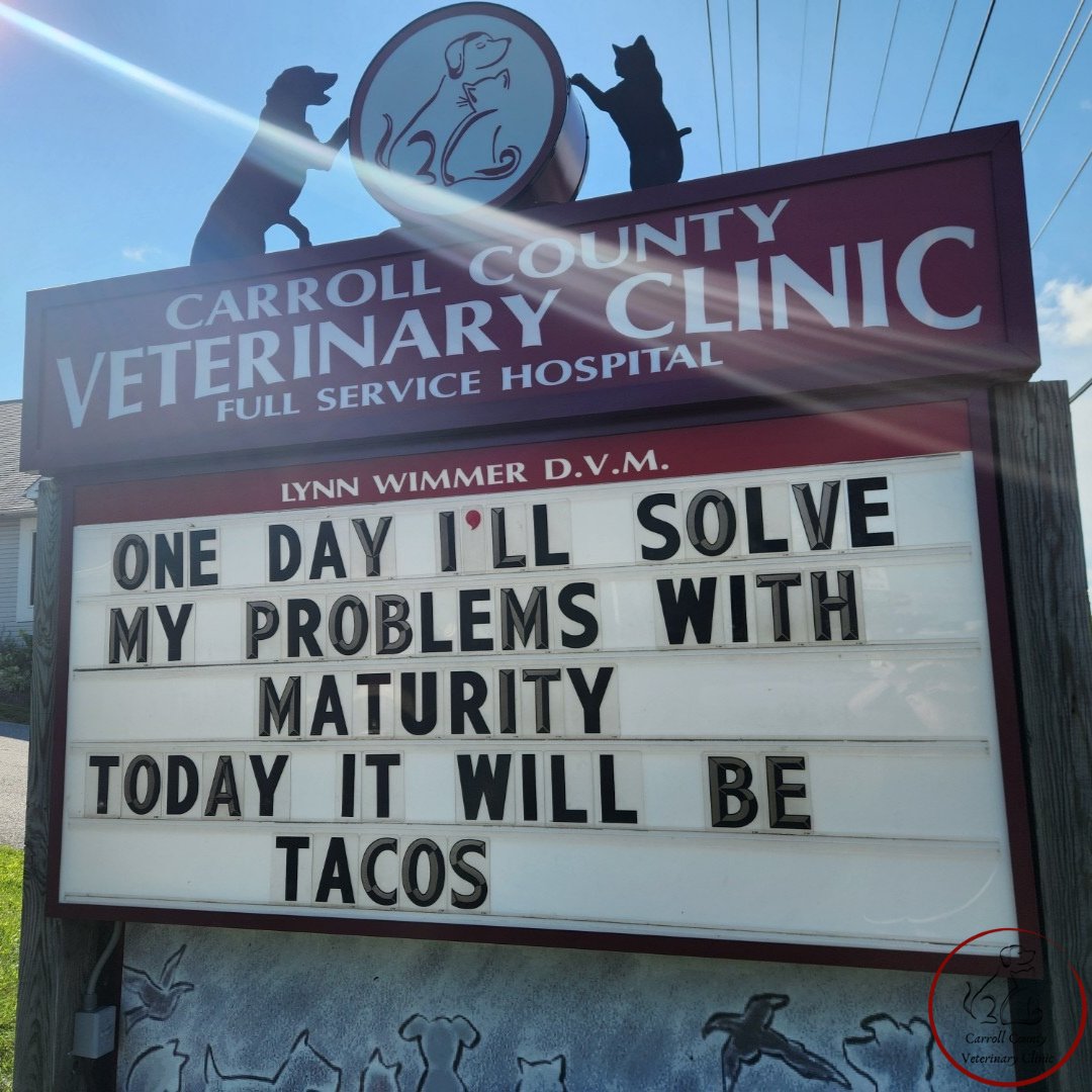 CarrollCoVet's tweet photo. #funnyvetsigns #funnysigns #ccvc https://t.co/RWmGfY2GRp