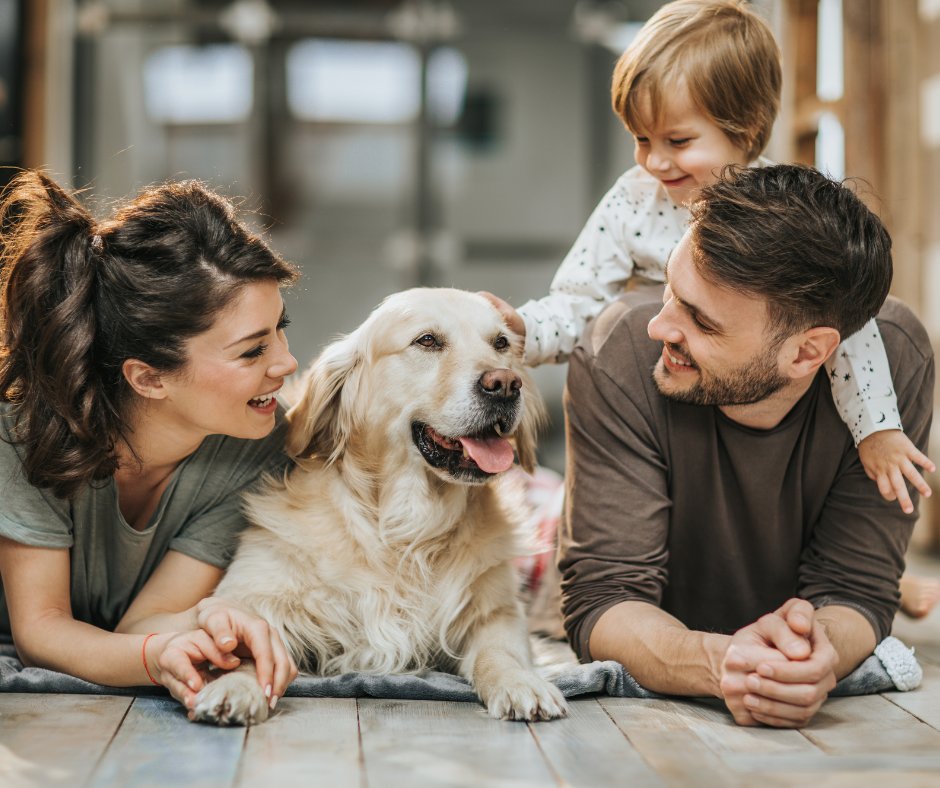 MommyBlogExpert's tweet image. BACK TO SCHOOL Veterinarian Tips to Help Your Family Dog Adjust to the New Routine when the kids are back in school. A must-read for every home with a dog and children mommyblogexpert.com/2013/08/prepar… #BacktoSchool2024 #familyroutine