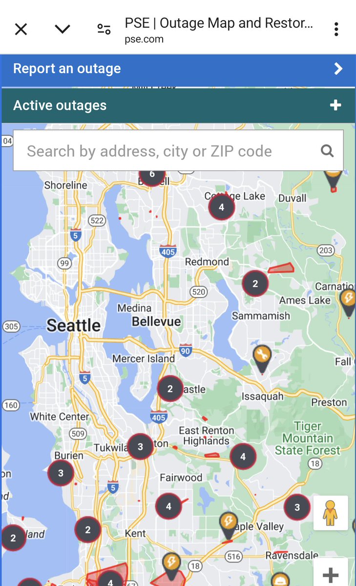 Bellevue.com tweet media