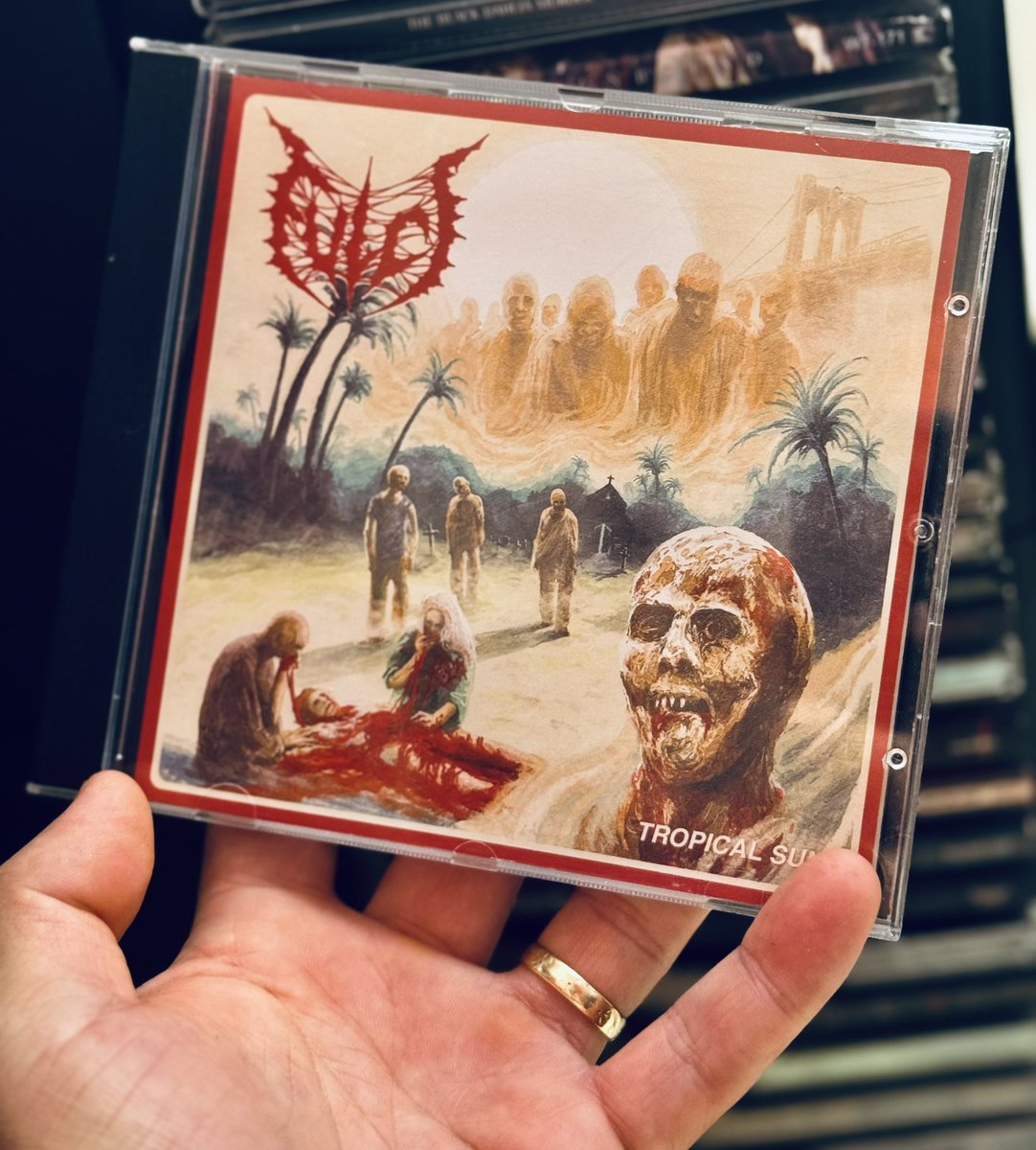 Chris112183's tweet photo. Fucking Brutal Death metal Masterpiece ๐ฎ๐น ๐ค๐ช๐ฅ๐ค๐ค
Now playing ๐ฟ
Tropical Sun by Fulci
2019 Italy First press, CD Edition
Label: Time To Kill Records
@Fulcicult #Cdcollector #Cdmania #Cdcollection https://t.co/0PjYpwmEqv