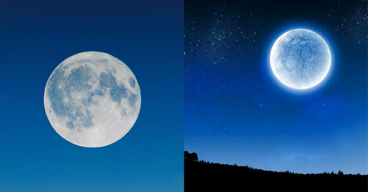 UHN Plus tweet media