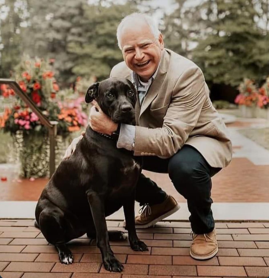 Carril1J's tweet photo. @BlueStormComin1 #BlueStormBoosts #StrongerTogether  #PetsForKamala 💙💙💙💙💙💙 https://t.co/ybv79zTGyv