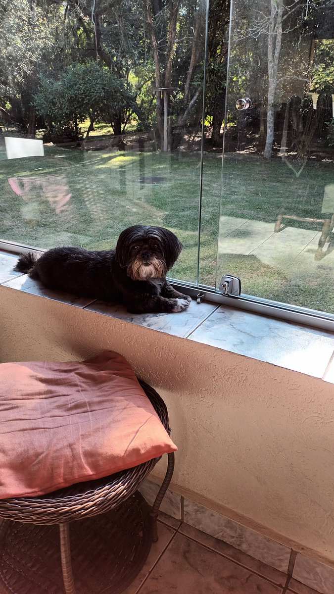 RoseleneLeopol2's tweet photo. @itimaliasof Maggie, minha princesa. Amooo https://t.co/HSbF5Velov