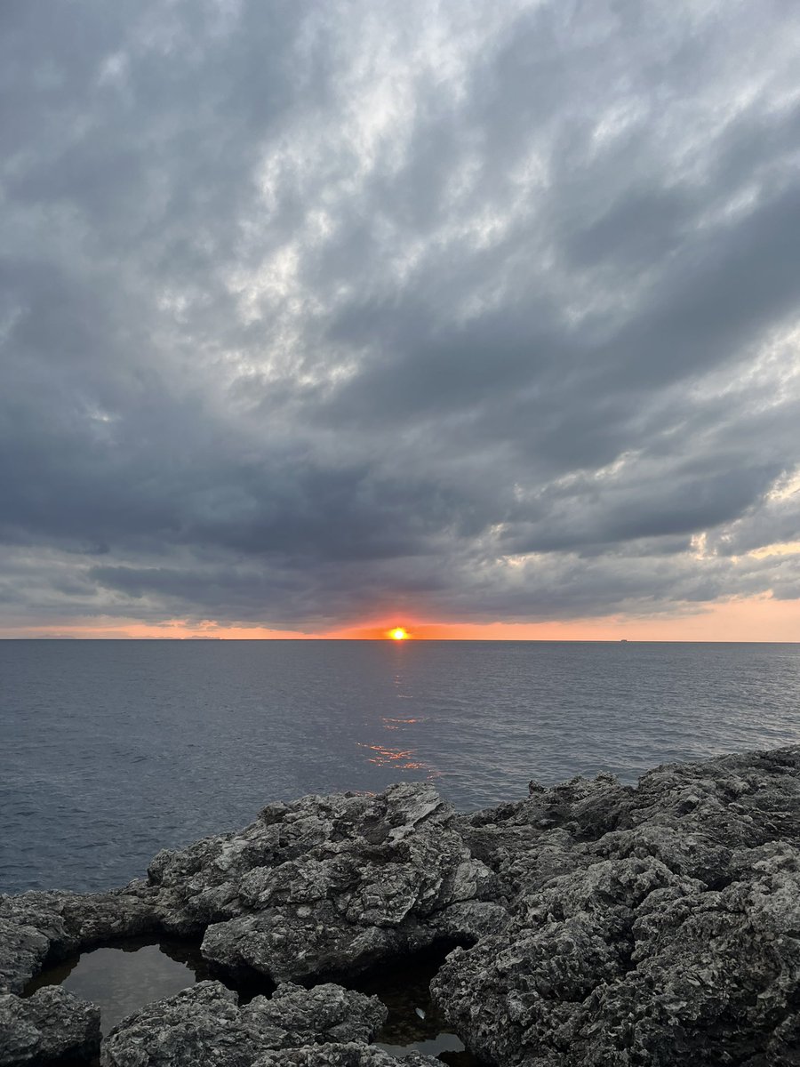 polbarcelo_'s tweet image. wow