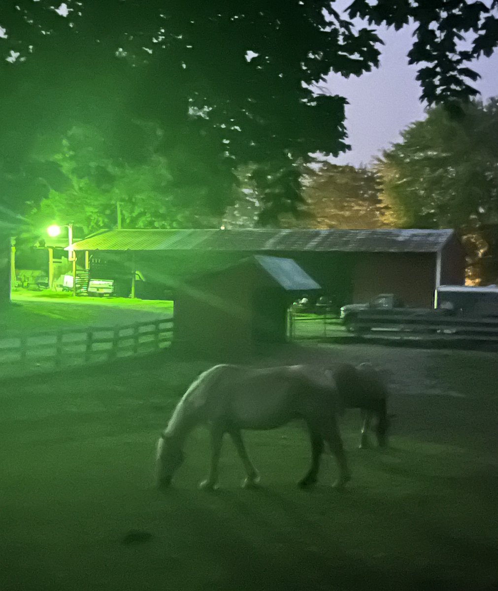 Hollywood Deals tweet media