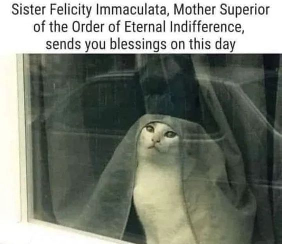 WholesomeMeme tweet picture