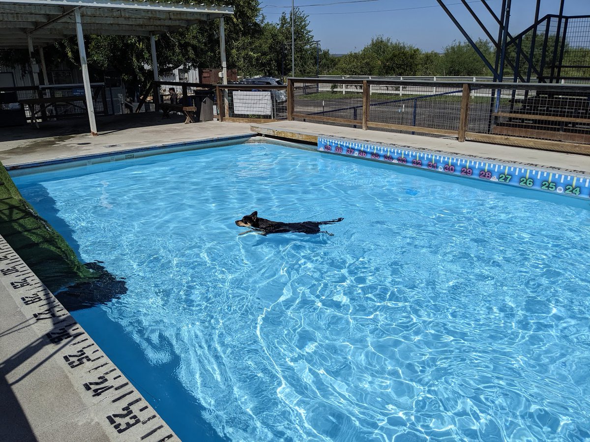 FTLRalph's tweet image. Friday was Dio&apos;s 3rd birthday.
He went swimming.
(His birthday hat and scarf don&apos;t fit anymore)
Stick Nodes turns 10 tomorrow.
Collab entries ends in 24 hours.
The collab video will premiere in a couple weeks.
New update 4.2.0 is in final beta stages.
Oof...
#unrequested