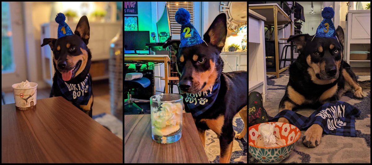 FTLRalph's tweet image. Friday was Dio&apos;s 3rd birthday.
He went swimming.
(His birthday hat and scarf don&apos;t fit anymore)
Stick Nodes turns 10 tomorrow.
Collab entries ends in 24 hours.
The collab video will premiere in a couple weeks.
New update 4.2.0 is in final beta stages.
Oof...
#unrequested