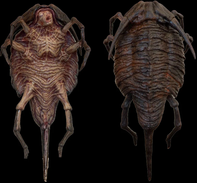 Imagine bonding with this-