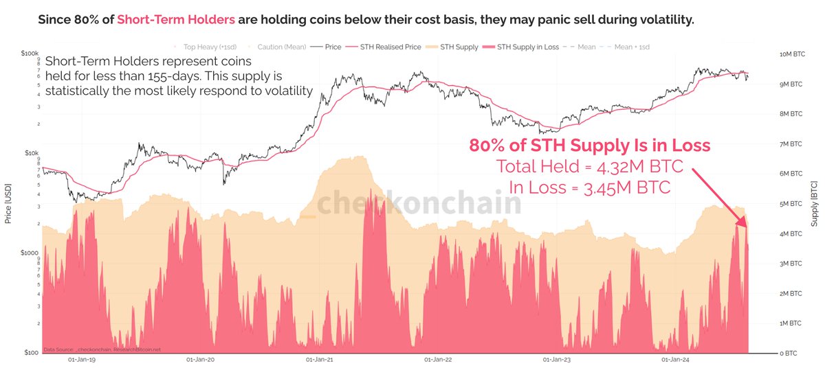 Short-term holders metric.