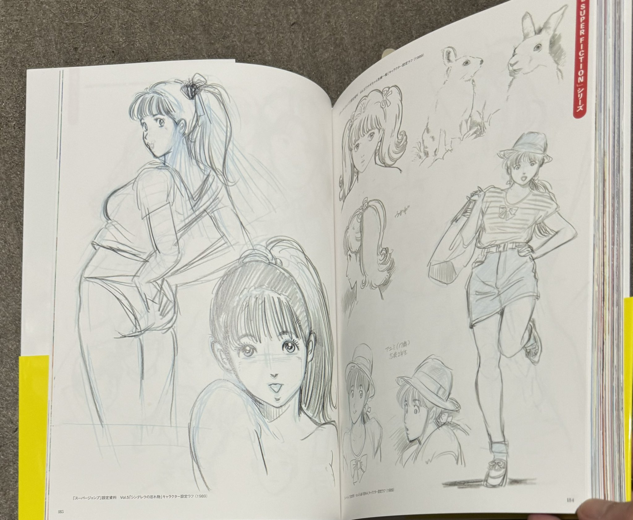 飯田耕一郎@うさ爺 on X: 飯田耕一郎@うさ爺 on X: