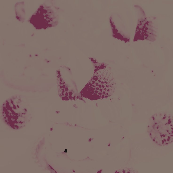 〝 𝐓𝐎𝐌𝐌𝐘｡ (@bashfulnaivete) on Twitter photo 