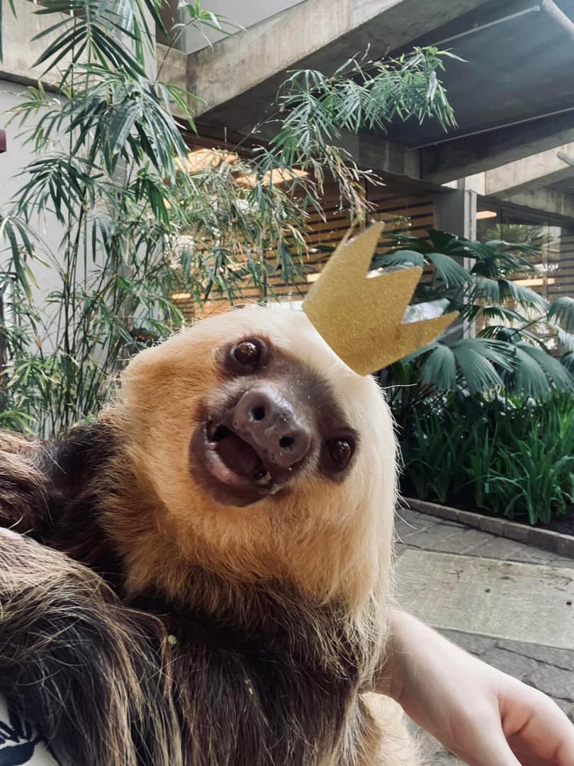 We didn’t want to forget Chloe’s 20th Birthday! Please join us in wishing her a Happy Birthday!

📷: Zookeeper Gina