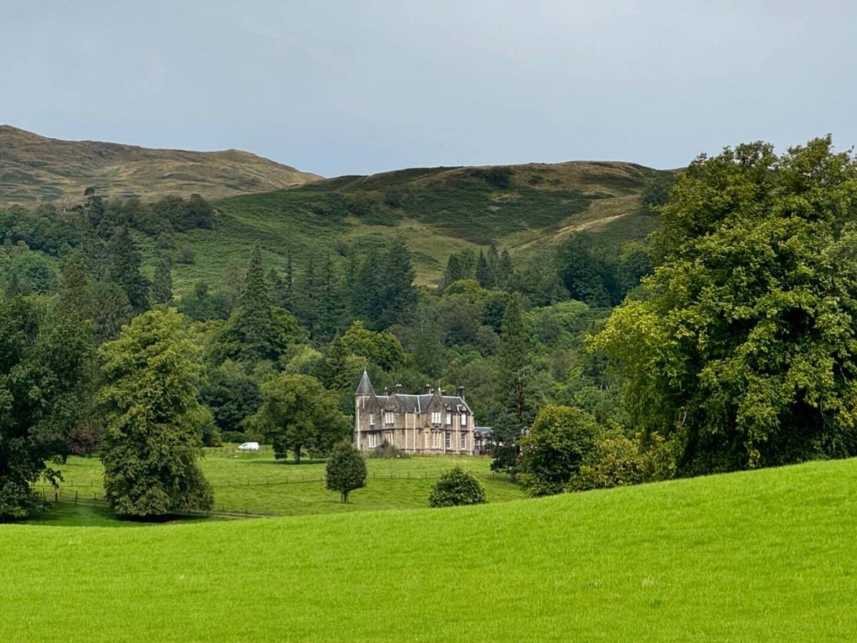 Mark Kamichoff tweet media