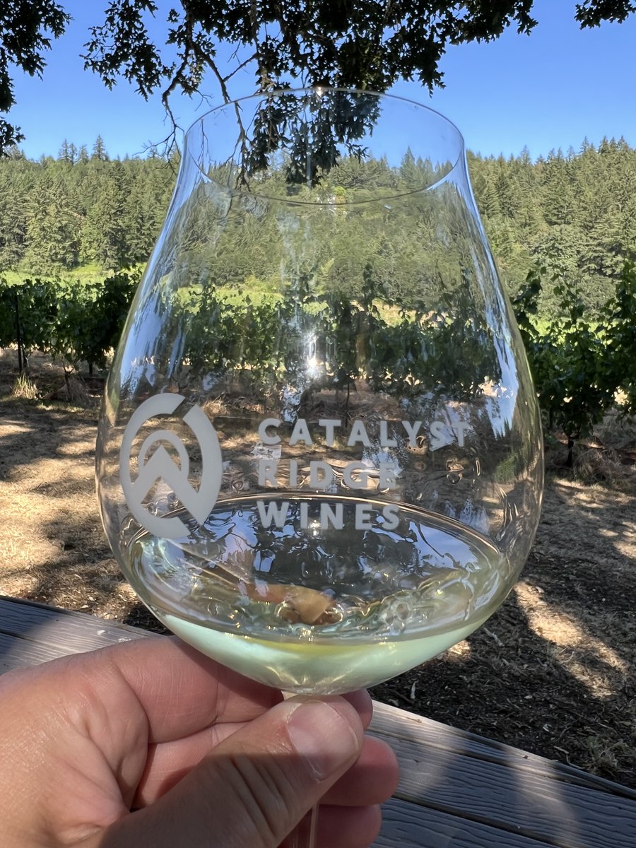CatalystWines tweet media