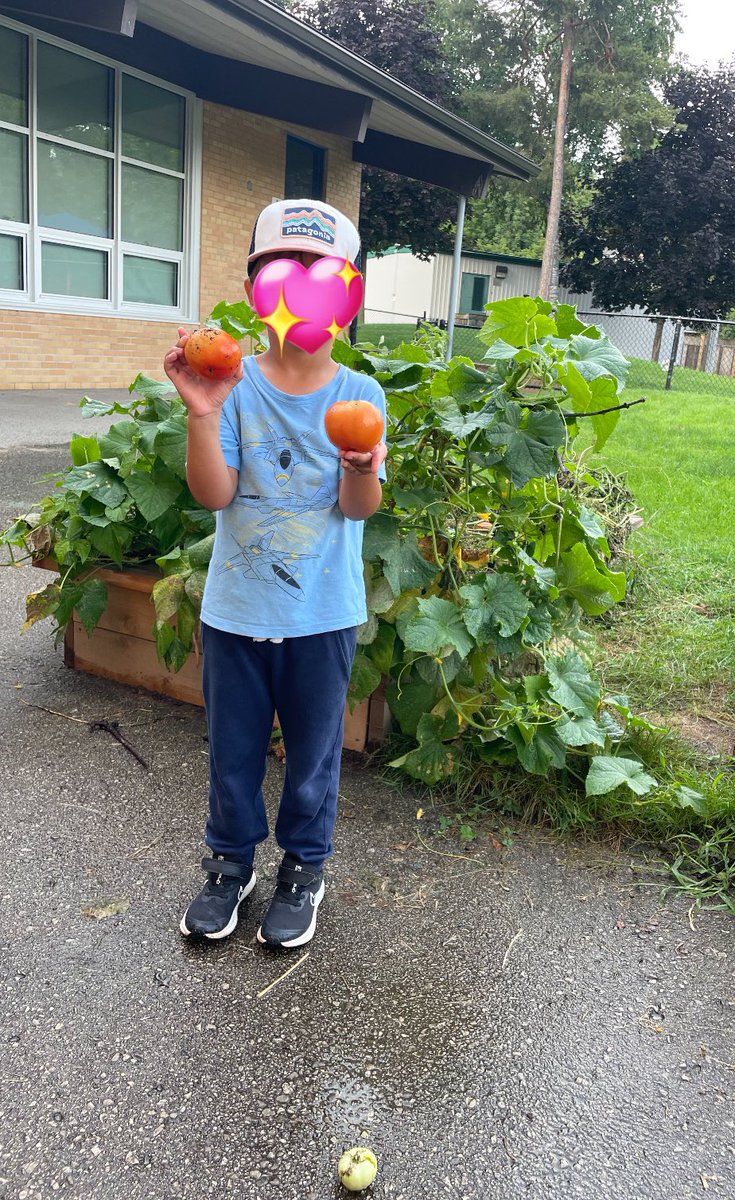 💕🍅<a href="/KenolliePS/">Kenollie P.S.</a> #OurLearningGarden