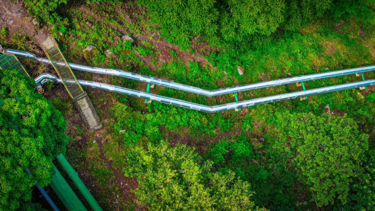 Nayib Bukele tweet media