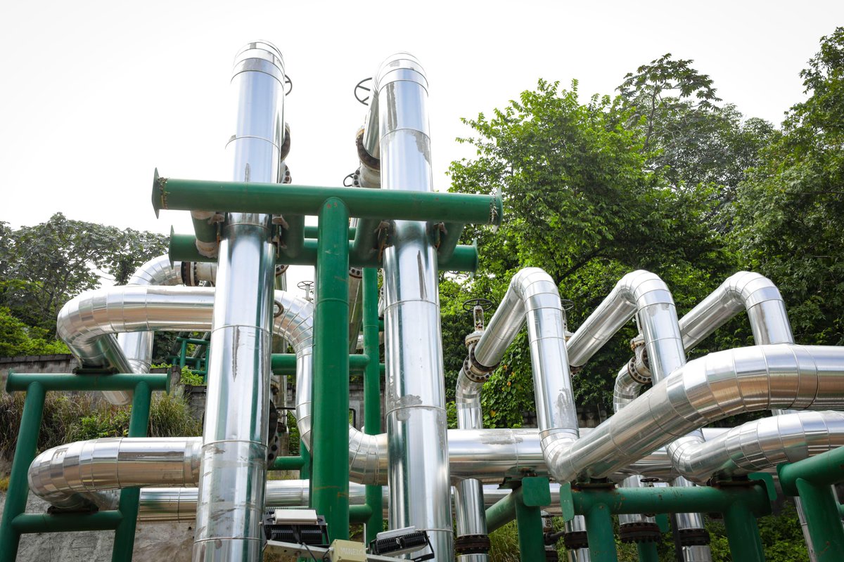 Nayib Bukele tweet media