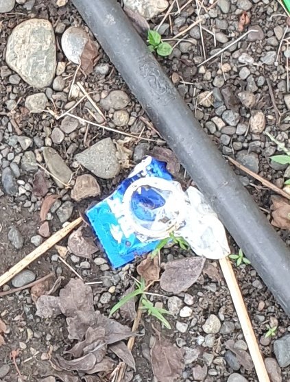 jemlin06's tweet photo. Grabi atbang jud sa NIA nag birada... daplin sa dalan jud... tago2 pud unta gamay ui... hurot jud akng bilib...
#alterbukidnon
#altervalencia https://t.co/S1fHHFewrv
