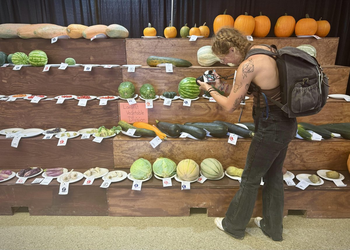StatehouseFile's tweet photo. The prize-winning vegetables are wilting, and so are we. Time to go home. Til next year, state fair! #TheStateFairFile https://t.co/LKk4TU2zdw
