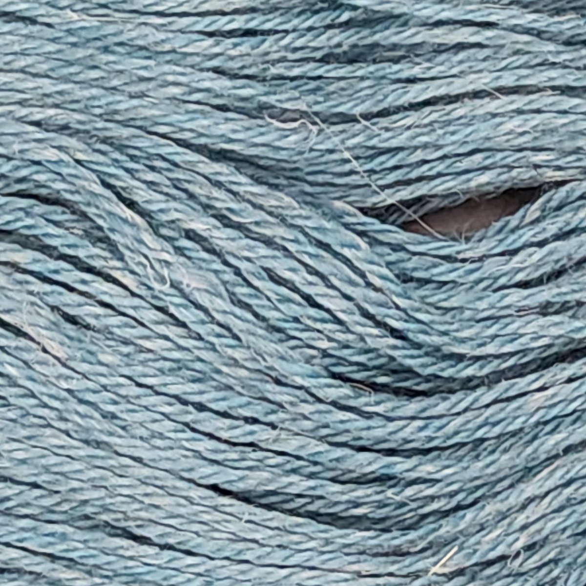 Wild Poppy Yarns tweet media