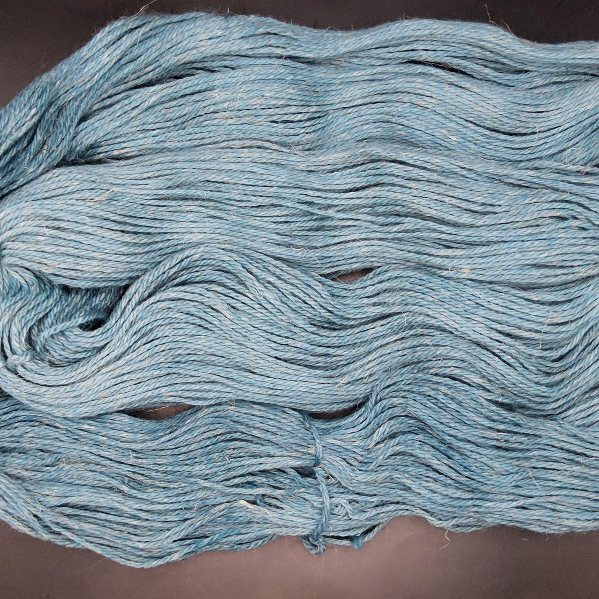 Wild Poppy Yarns tweet media