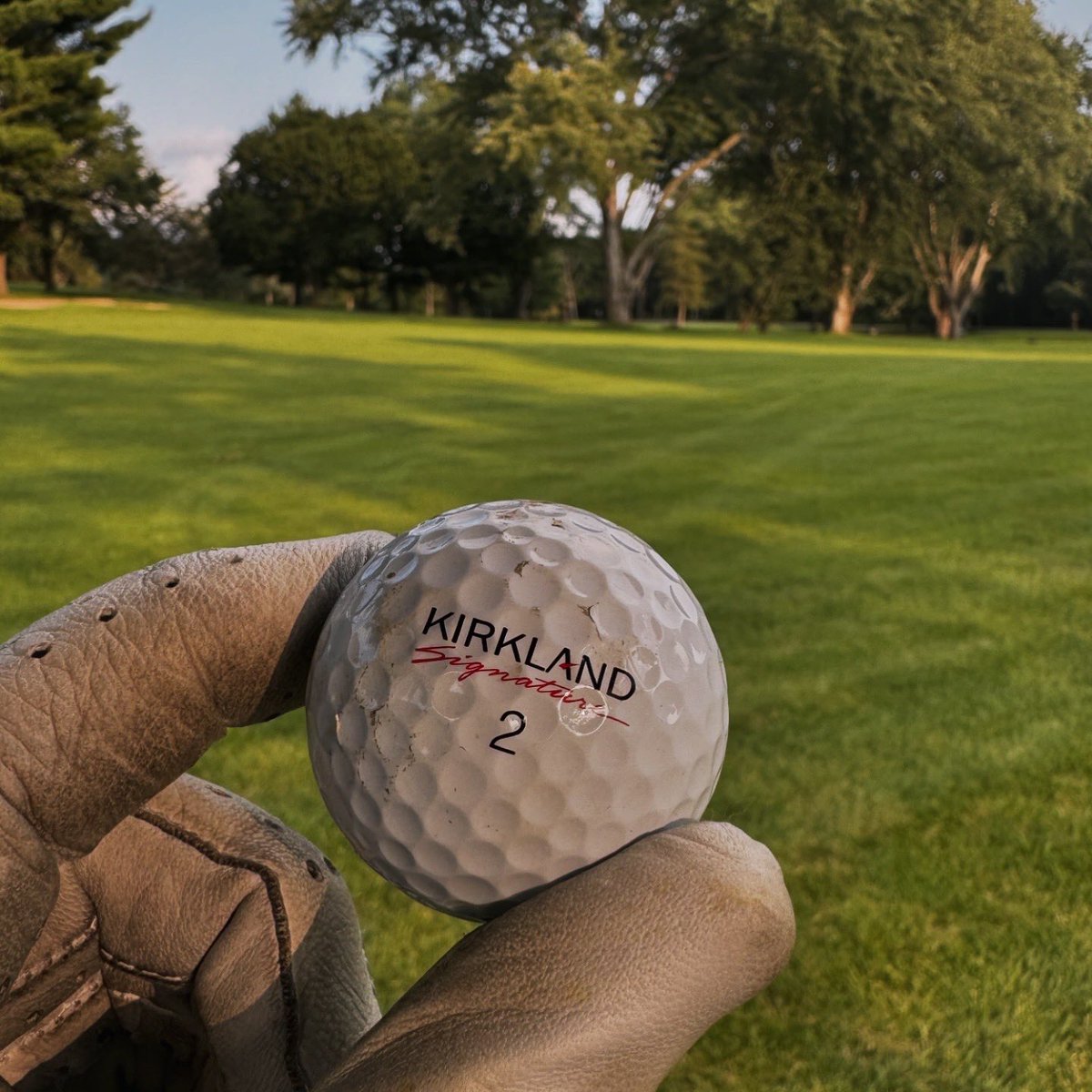 Bob Wood tweet media