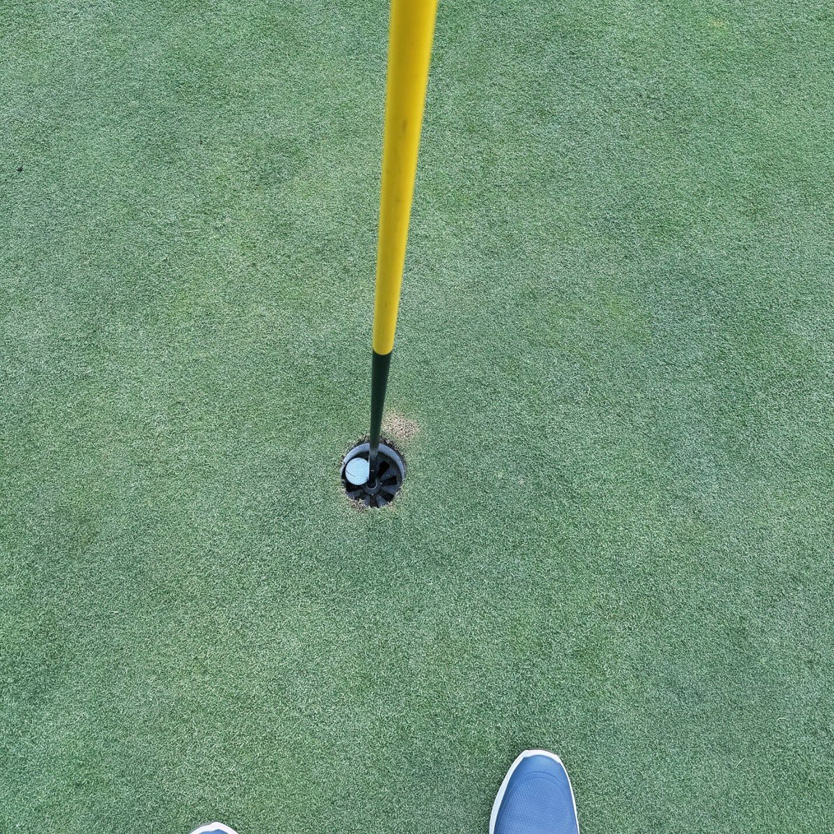 Bob Wood tweet media