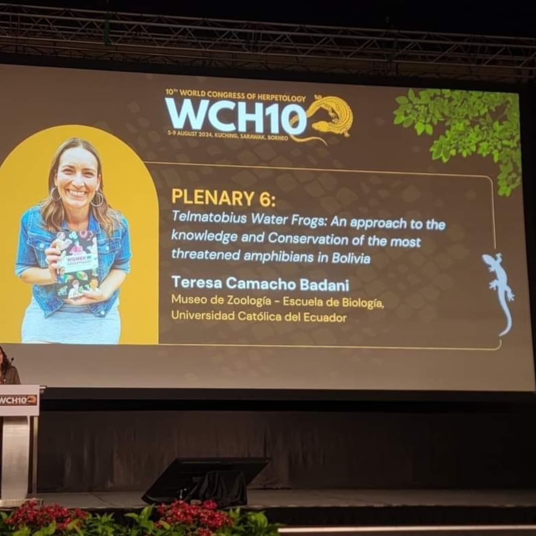 TeresaCamacho_B's tweet photo. Qué experiencia tan maravillosa!!
Tuve el honor de dar una Plenaria en el  @WCHerp  y hablar sobre las ranas acuáticas del g��nero #Telmatobius.
Gracias a todos los que creen en mi trabajo y el equipo de #Bolivia, el apoyo que recibí durante este tiempo me deja sin palabras 🐸🇧🇴 https://t.co/fE28GaNWeZ