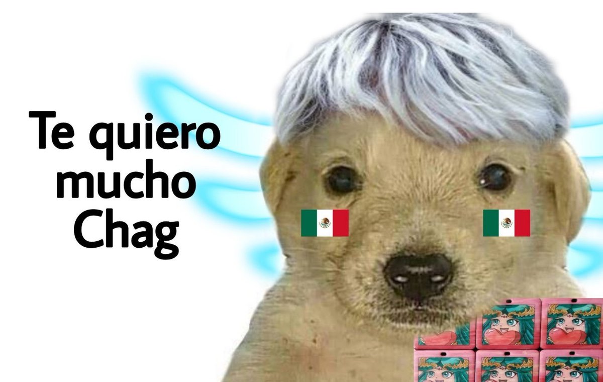 elpapugrasosoxx's tweet image. si me hubieran dicho hace un año que me iba a tomar una foto con @Chagspc no me lo hubiese creído, alguien que me incentivo a participar en la escena competitiva y jugar este juego se me hace un bonito, tqm chig