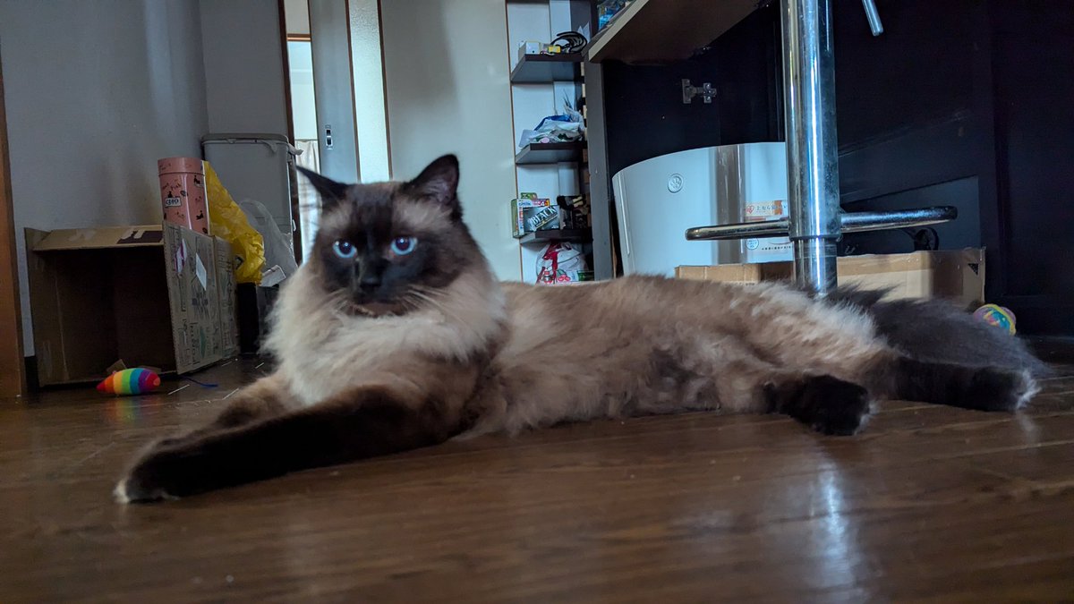 今年も3種混合お疲れ様でした。