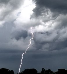 South Carolina chase today.