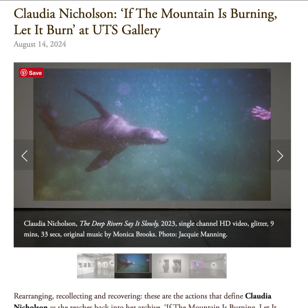 Laura Luciana writes about Claudia Nicholson's ‘If The Mountain Is Burning, Let It Burn’ in the latest issue of Art Monthly Australasia. artmonthly.org.au/blog/claudia-n…