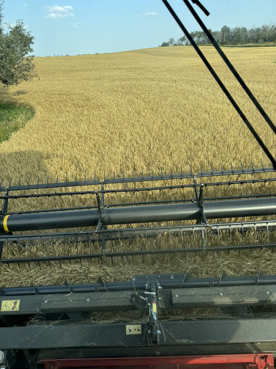 Agviser Crop Mgmt tweet media