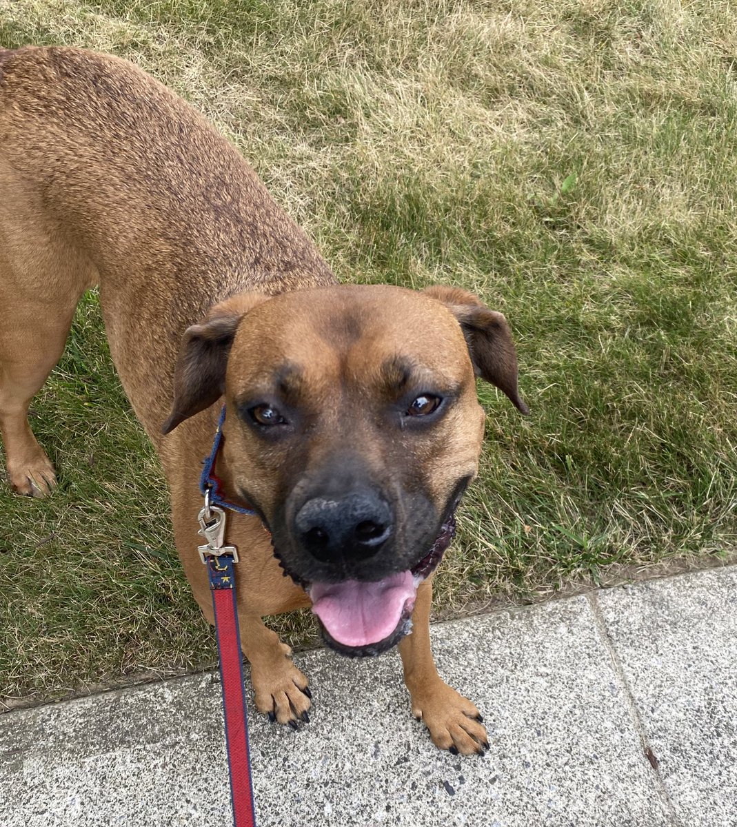 Robyn’s Randoms 💜✡️ tweet media