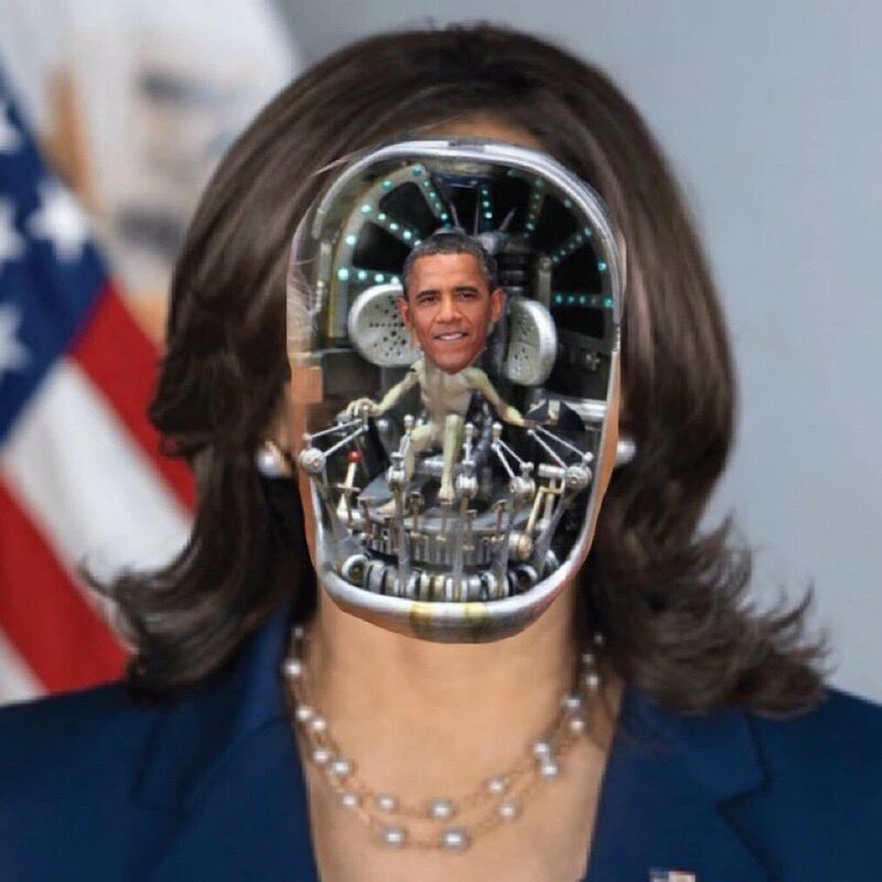 fedupMolly17's tweet photo. @KamalaHarris #PuppetDictator https://t.co/68IKWSiT8M