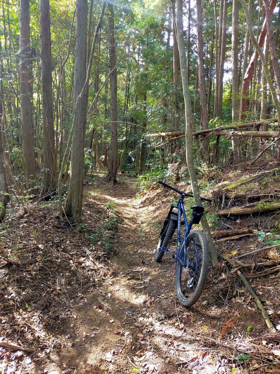 Cycle&Life funcle(ファンクル) (@funcle_jp) / Posts / X