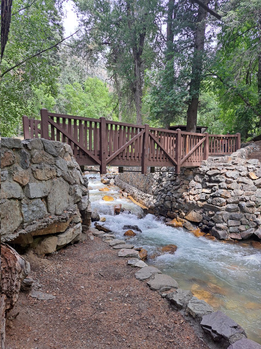 RideThisOut tweet media