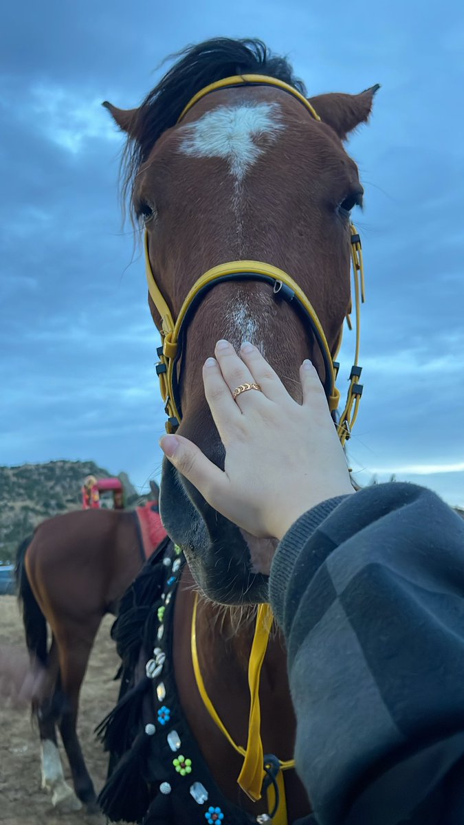 87ixx's tweet photo. 🐎🤎 https://t.co/xLXh7m5xWY